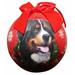 E&S Imports Bernese Mt. Dog Ball Ornament Plastic in Black/Red | 3 H x 3 W x 3 D in | Wayfair CBO-52
