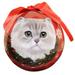 E&S Imports Persian Cat Ball Ornament Plastic in Red/White | 3 H x 3 W x 3 D in | Wayfair CBOC-4