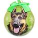 E&S Imports German Shepherd Ball Ornament Plastic in Brown/Green | 3 H x 3 W x 3 D in | Wayfair CBO-75