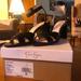 Jessica Simpson Shoes | Brand New, Never Worn Sandals | Color: Black | Size: 7