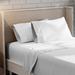 Wayfair Sleep™ Adelaja 300TC Organic 100% Cotton Cool & Crisp Percale Weave Pillowcases Cotton Percale in White | King