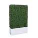Dalmarko Designs Boxwood Hedge in Planter Metal in White | 72 H x 40 W x 40 D in | Wayfair dmr1214