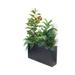 Dalmarko Designs Rubber Plant & Greens mix in wood planter Silk/Wood in Brown | 65 H x 51 W x 22 D in | Wayfair dmr1246