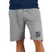 Men's Concepts Sport Gray Los Angeles Kings Mainstream Terry Shorts