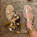 Rebecca Minkoff Shoes | Gold Rebecca Minkoff Gladiator Shoes | Color: Gold/Tan | Size: 7