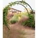 TerraTrellis Gracie Modern Steel Arbor Metal/Steel in Gray | 84 H x 92 W x 30 D in | Wayfair GMAL-LARGE