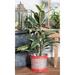 August Grove® Adelanto 3 - Piece 100% Iron Pot Planter Set Metal in Red | 11 H x 16 W x 12 D in | Wayfair 98474