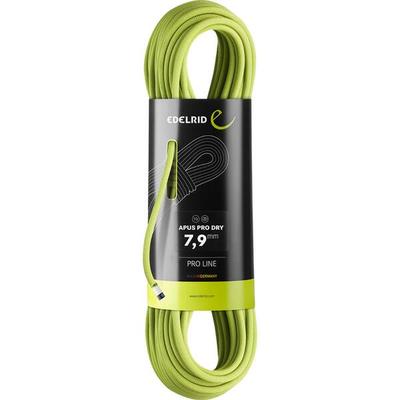 EDELRID Bergseil Apus Pro Dry 7,9mm, Größe 60 in Grün