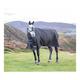 Shires Highlander Original 200 Turnout Rug - Black: 6ft3