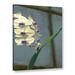 World Menagerie Orchid in Window by Linda Parker - Painting Print on Canvas Canvas, Glass in Brown/Gray/Green | 18 H x 14 W x 2 D in | Wayfair