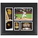 Fernando Tatis Jr. San Diego Padres Framed 15" x 17" Player Collage with a Piece of Game-Used Ball