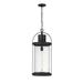 Z-Lite Roundhouse 28 Inch Tall Outdoor Hanging Lantern - 569CHXL-BK