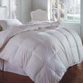 Arsuite Hidalgo All Season Down Comforter Goose Down, Cotton in White | 86 H x 104 W in | Wayfair 4F0AA805201A497A956ABCD51A923F3F
