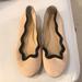 J. Crew Shoes | Jcrew Ballet Flats | Color: Black/Cream | Size: 9.5