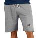 Men's Concepts Sport Gray Baltimore Ravens Mainstream Terry Shorts