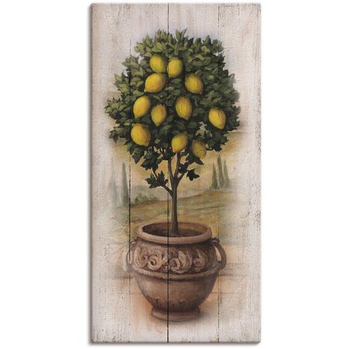 Artland Wandbild »Zitronenbaum mit Holzoptik«, Bäume, (1 St.)