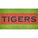 Auburn Tigers Original Stencil Kit