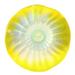 Rosecliff Heights Alfonzo Decorative Plate Glass & Crystal in Yellow | 6 H x 25.5 W x 25.5 D in | Wayfair 9ACFE7BD8FF242C69B60005AE34251EF