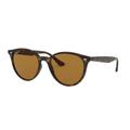 Ray-Ban RB4305 Sunglasses 710/83-53 - Polar Brown Lenses