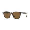 Ray-Ban RB4258 Sunglasses 710/73-50 - Shiny Havana Frame Brown Lenses