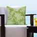 "Veranda Citrus Indoor-Outdoor 16"" Designer Throw Pillow - Siscovers VECI-P17"