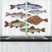 East Urban Home 2 Piece Digital Drawing Various Species of Fish on Plain Background Marine Themed Print Bass Kitchen Curtain Set | Wayfair