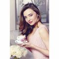 Friendship Royal Albert Miranda Kerr 3 Piece Bone China Place Setting Set, Service for 1 Bone China/Ceramic in Pink/White/Yellow | Wayfair 40010579