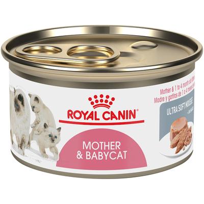 Royal Canin Feline Health Nutrition Mother & Babycat Ultra Soft Mousse in Sauce Canned Cat Food, 3 oz., Case of 24