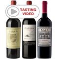 South American Wine Tour with Tasting Video - Other