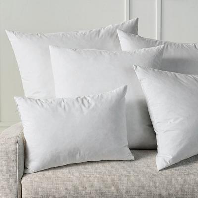 Decorative Pillow Inserts - Lumbar, 10