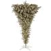 The Holiday Aisle® Champagne Upside Down Artificial Christmas Tree in Brown | 5.5' H | Wayfair C48AE8C1666147D7A8B770F8EBE4544A