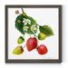 August Grove® Strawberry Study I - Picture Frame Painting Print Canvas in Green/Red/White | 35.5 H x 35.5 W x 1.5 D in | Wayfair