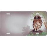 212 Main SM627 6 x 12 in. Owl Offset Airbrush License Plate Free Names on Air Brush