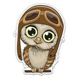 Cute Owl Adorable Hoot Big Eyes - 12 Vinyl Sticker Waterproof Decal