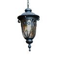 Hailee 1 Light Exterior Hanging Light in Matte Black Finish