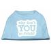 Mirage Pet Products 51-142 XXXLBBL You Go Fetch Screen Print Shirt Baby Blue XXXL - 20