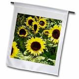 3dRose Sunflower Floral Art - Garden Flag 12 by 18-inch