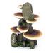 Penn-Plax Mushrooms on Rock Aquarium Ornament Medium/5.5 x 4 x 7.5