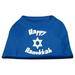 Happy Hanukkah Screen Print Shirt Blue Med (12)