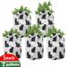 Cat Grow Bags 5-Pack Playful Black Kittens Heavyduty Fabric Pots with Handles for Plants 2 Sizes Black White by Ambesonne