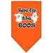 Mirage Pet 66-174 LGOR Here for the Boos Screen Print Bandana Orange - Large