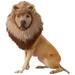 Morris Costumes Lion Dog Costume