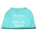 Dear Santa I Went with Naughty Screen Print Shirts Aqua XL (16)