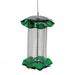 Birds Choice 1-Quart Sunflower Seed Forever Feeder with Stainless Steel Screen Green