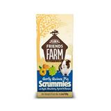 Tiny Friends Farm Gerty Guinea Pig Scrummies Treat 4.23oz