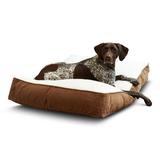 Happy Hounds Buster Sherpa Rectangle Pillow Style Dog Bed Latte Medium (42 x 30 in.)