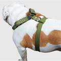 Cotton Web Dog Harness Large. Fits Girth 29 -34.5 . 1.5 Wide Straps Rottweiler Doberman Boxer