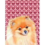 11 x 15 in. Pomeranian Hearts Love And Valentines Day Portrait Flag Garden Size