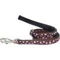 Red Dingo L6-S1-BR-ME Dog Lead Design Pink Dots on Brown- Medium