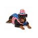 Big Dogs Uncle Sam Pet Costume